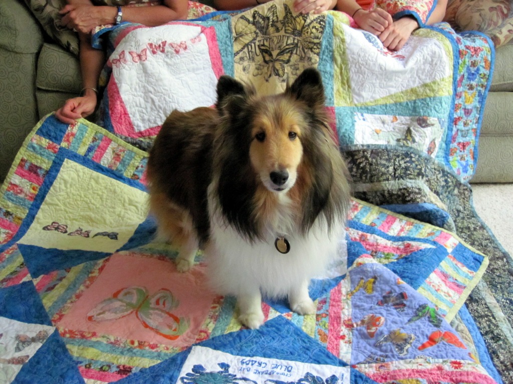 Bailey Likes Quilts jigsaw puzzle in Handmade puzzles on TheJigsawPuzzles.com